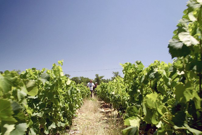 Cesty za vínem - Jihoafrická republika - Z filmu