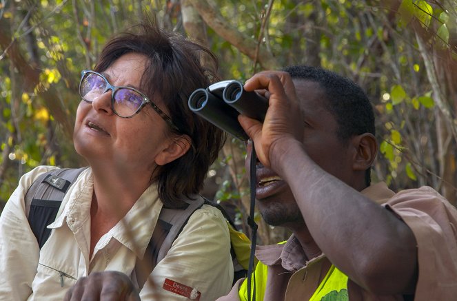 Tajemný život v mangrovech - Madagaskar: Duchové lesa - Z filmu