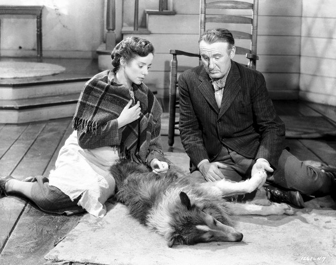 Lassie se vrací - Z filmu - Elsa Lanchester, Pal, Donald Crisp