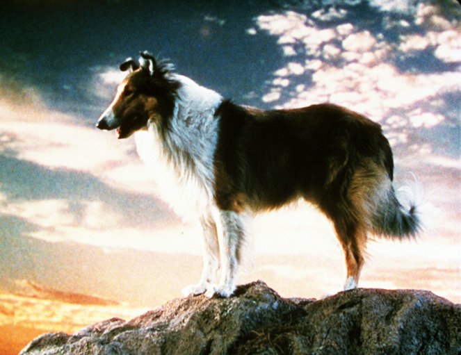 Lassie – Malované kopce - Z filmu
