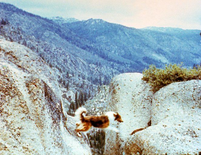 Lassie – Malované kopce - Z filmu