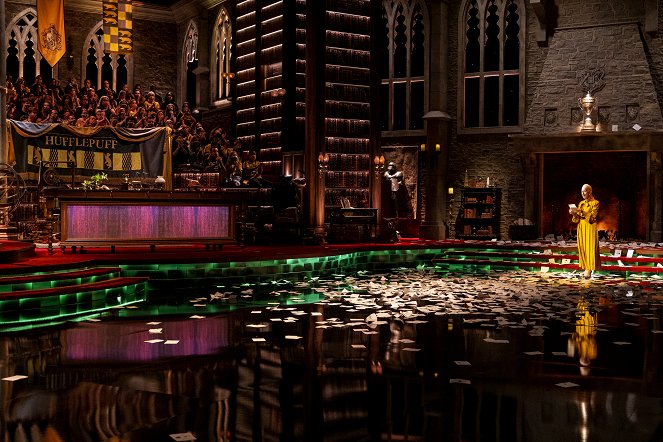 Harry Potter: Bradavický turnaj čtyř kolejí - Z filmu
