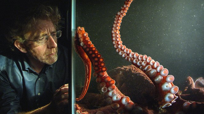 Svět přírody - Série 38 - The Octopus in My House - Z filmu