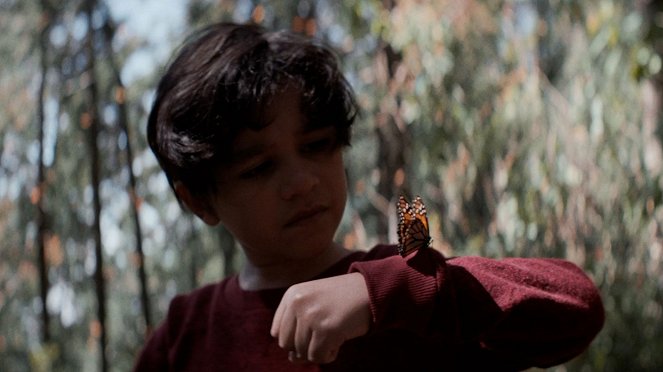 Syn motýlů - Z filmu