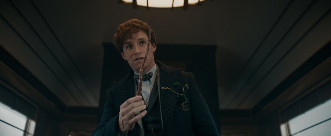 Fantastická zvířata: Brumbálova tajemství - Z filmu - Eddie Redmayne