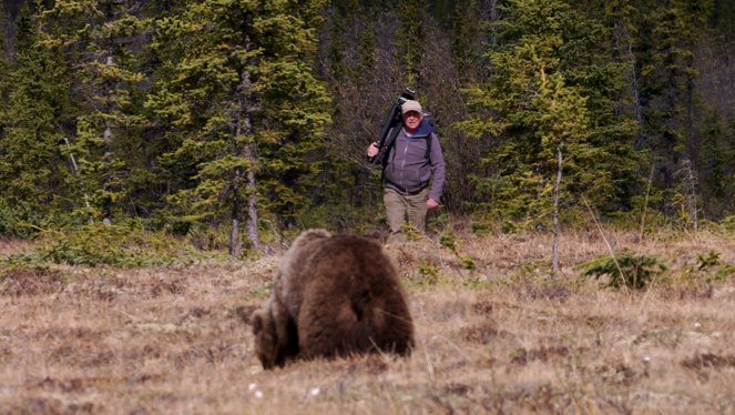 Medvědům grizzly tváří v tvář - Z filmu