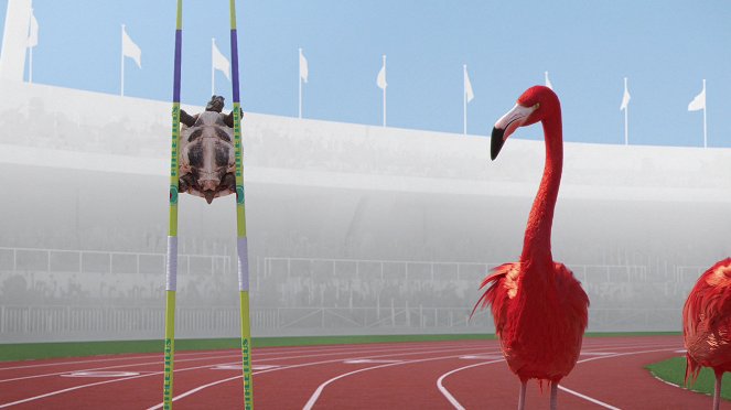 Sportující zvířata - Course de demi-fond - Z filmu
