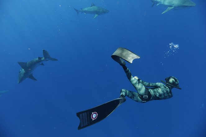 Havajská žraločí záhada - Z filmu