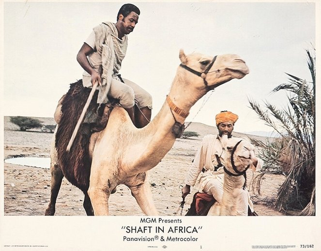 Shaft v Africe - Fotosky