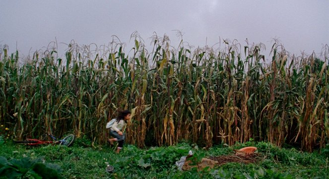 Kukuřice - Z filmu