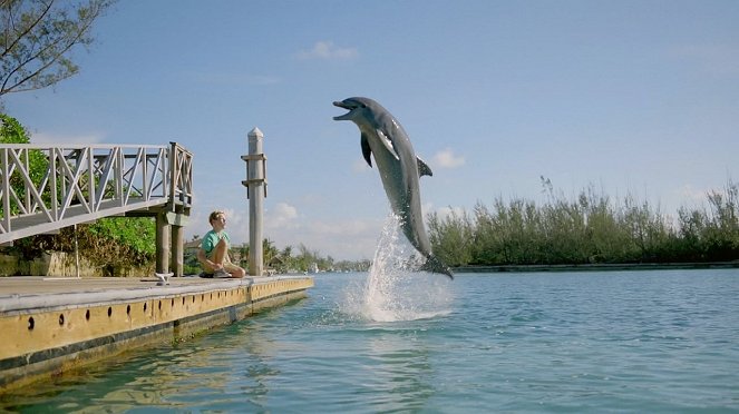 Jako delfín - Z filmu