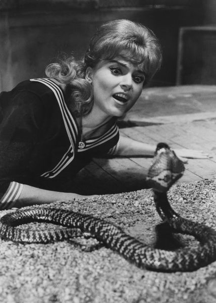 Die schwarze Kobra - Z filmu - Ann Smyrner