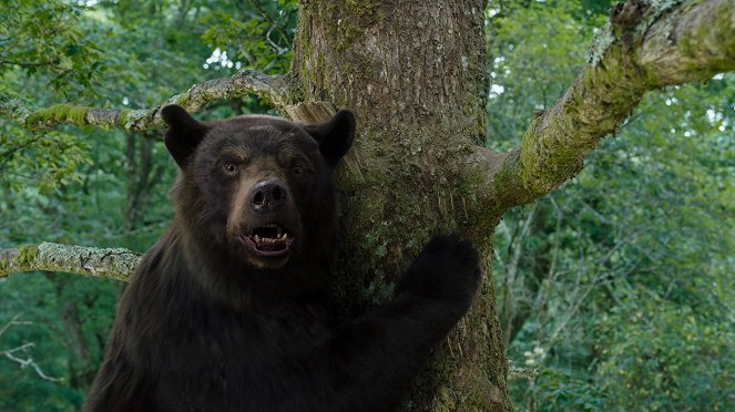 Medvěd na koksu - Z filmu