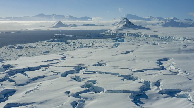 Zvířata zblízka s Bertiem Gregorym - Antarktické zabijácké vlny - Z filmu