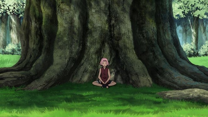 Naruto: Šippúden - Noroi no ningjó - Z filmu