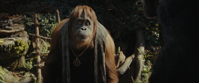 Království Planeta opic - Z filmu