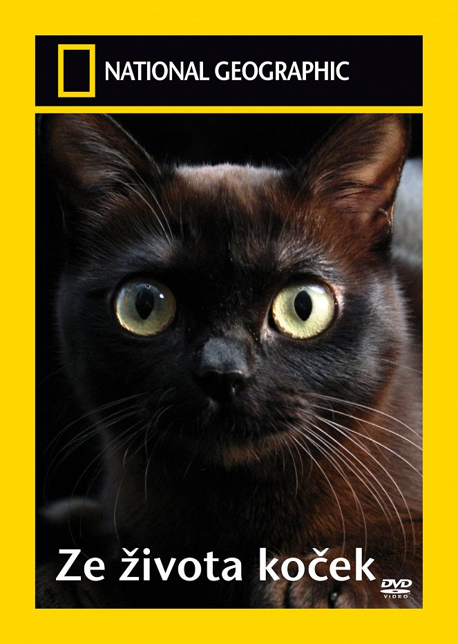 Ze života koček - Plakáty