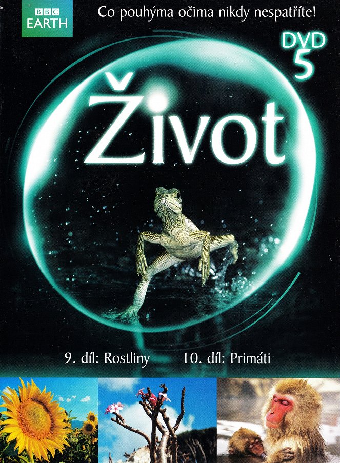 Život - Plakáty