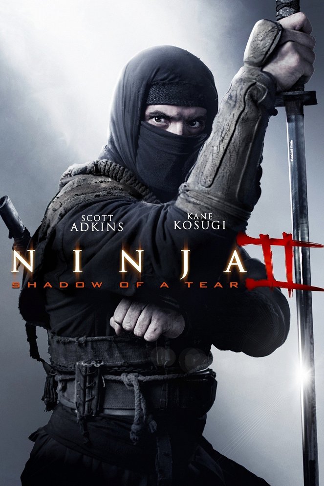 Ninja 2: Pomsta - Plakáty
