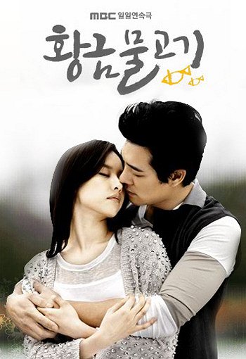 Hwanggeummoolgogi - Plakáty