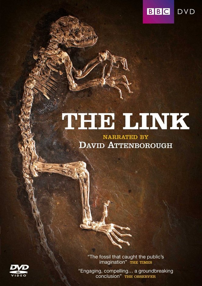 Uncovering Our Earliest Ancestor: The Link - Plakáty