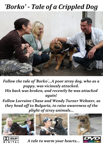 Borko: Tale of a Crippled Dog - Plakáty