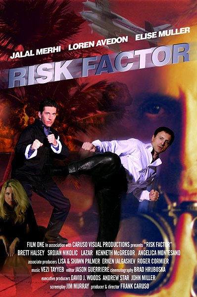 Risk Factor - Plakáty