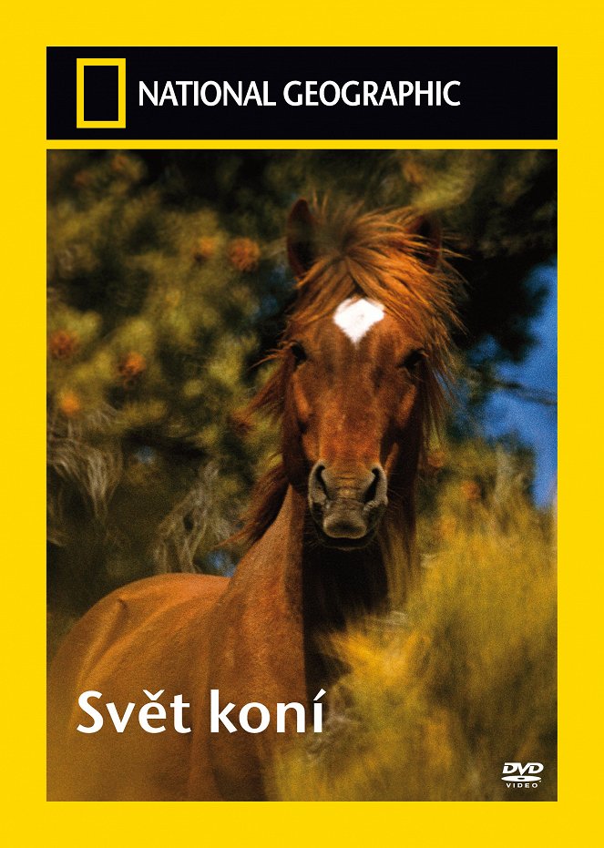 Svět koní - Plakáty