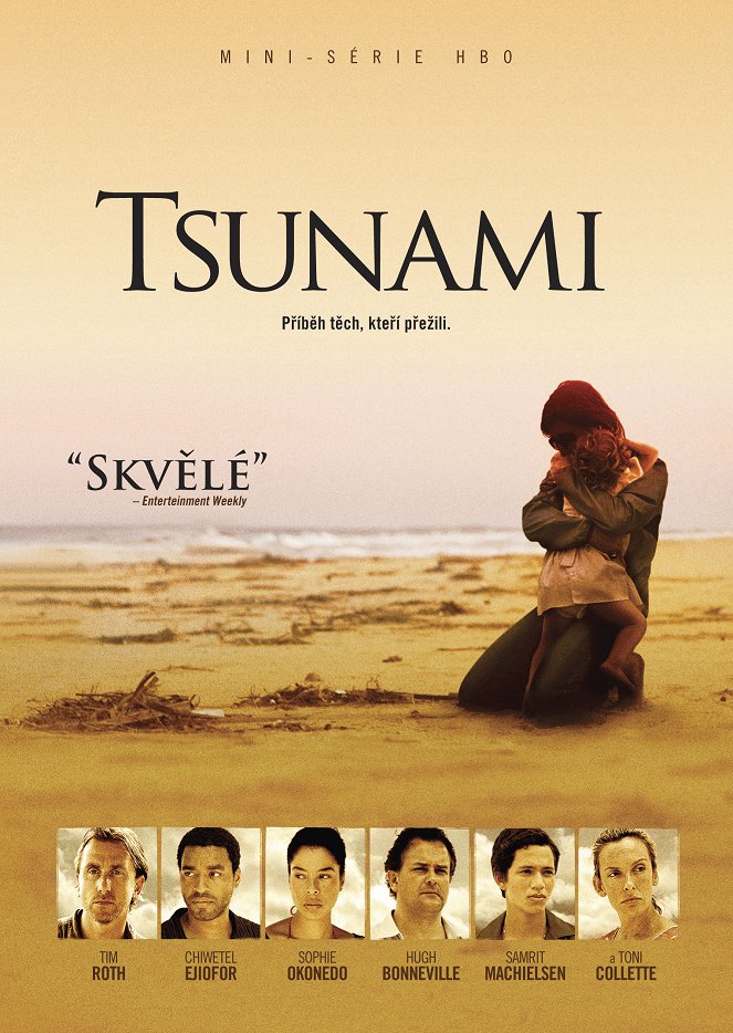 Tsunami: Následky - Plakáty