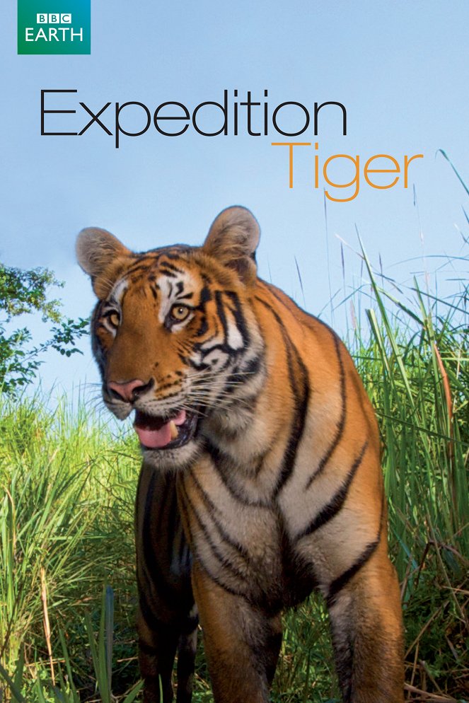 Expedice Tygr - Plakáty