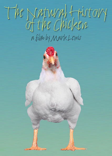 The Natural History of the Chicken - Plakáty