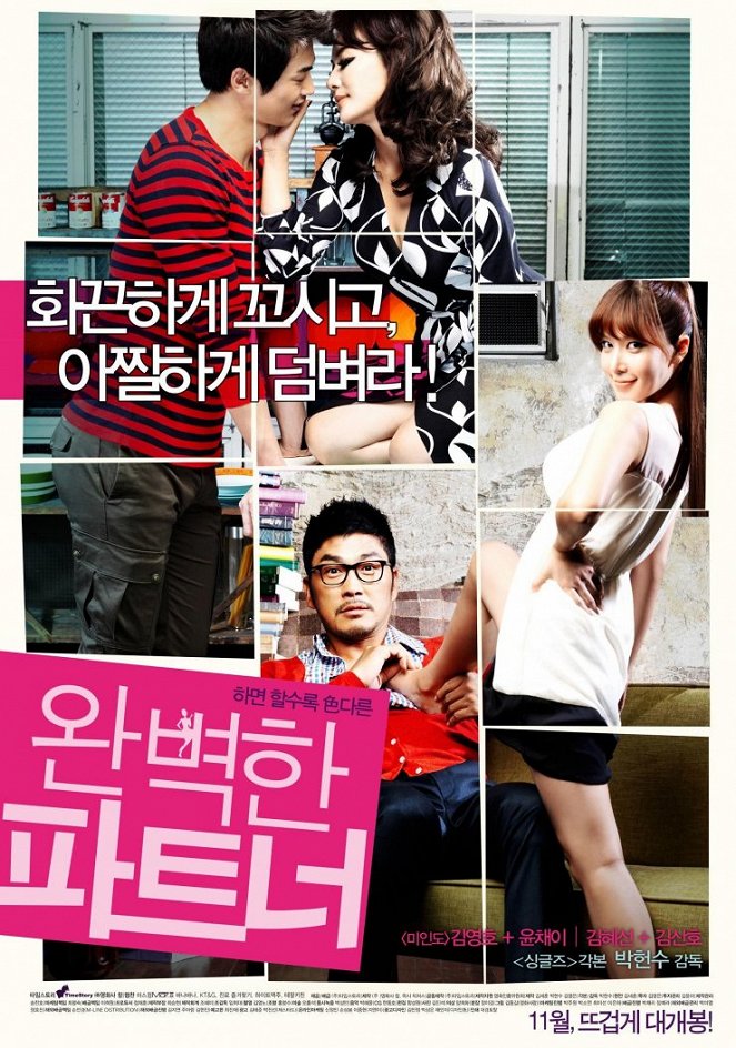 Wonbyeokhan pateuneo - Plakáty