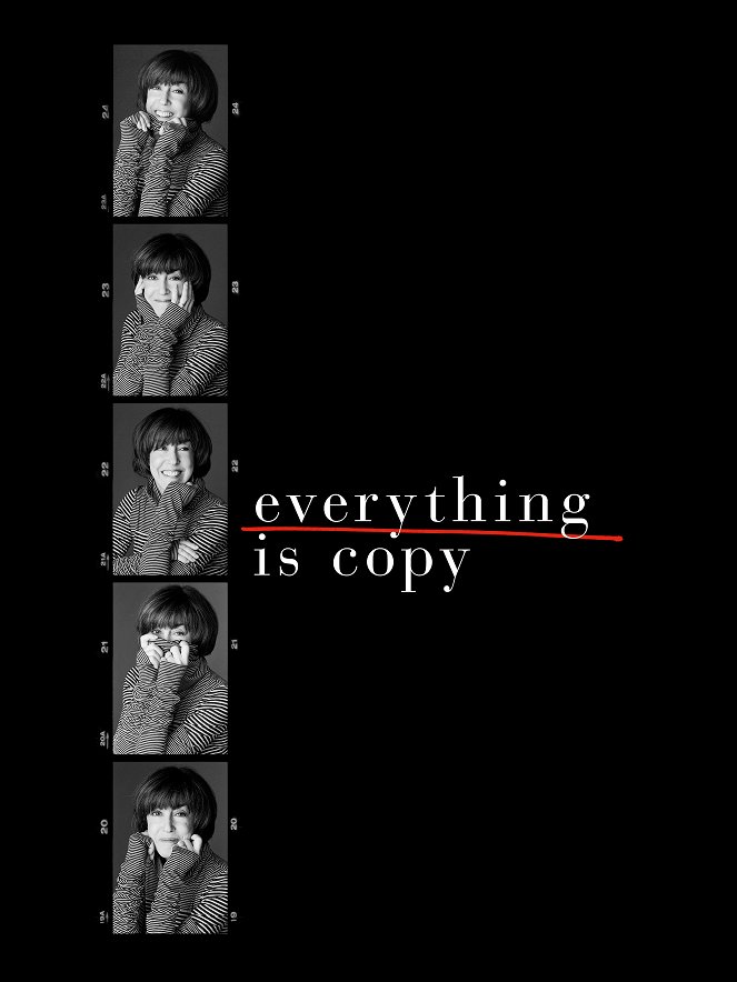 Nora Ephron: Všechno je námět - Plakáty