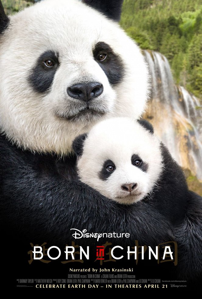 Zrozeni v Číně - Plakáty