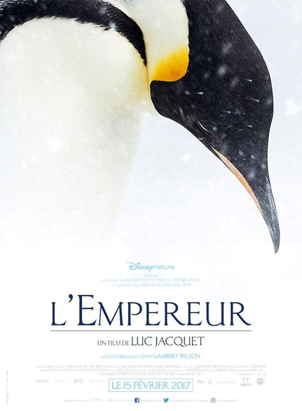Putování tučňáků: Volání oceánu - Plakáty
