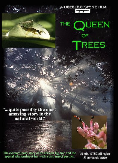 Svět přírody - Série 24 - Svět přírody - The Queen of Trees - Plakáty