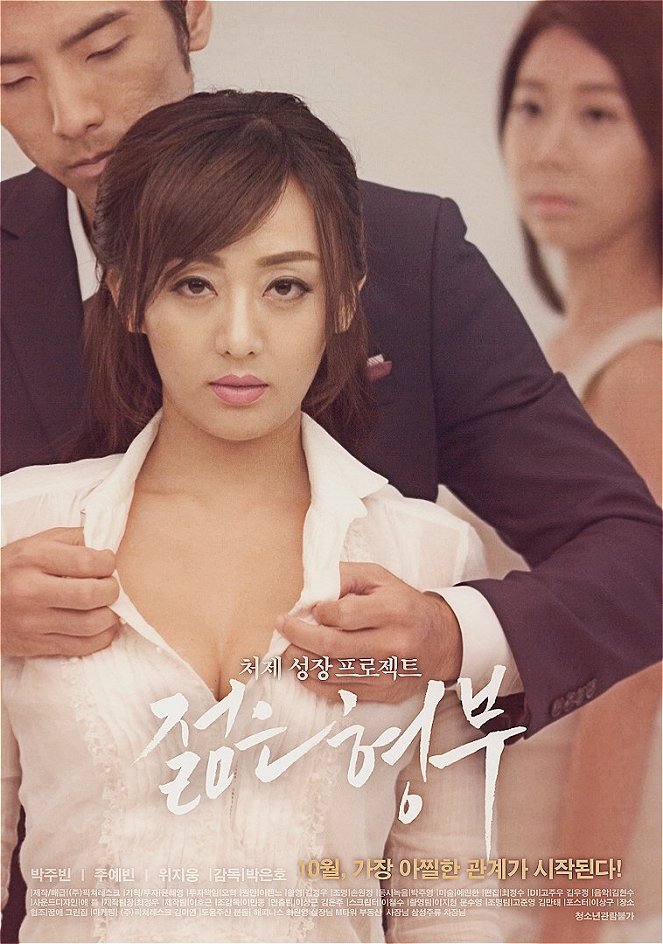 Jeolmeun hyeongboo - Plakáty