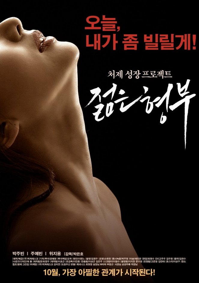 Jeolmeun hyeongboo - Plakáty
