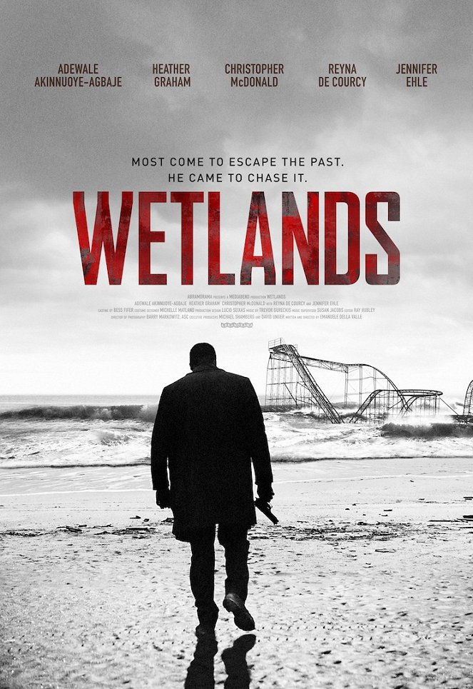 Wetlands - Plakáty