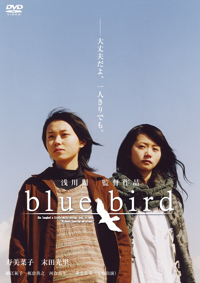 blue bird - Plakáty