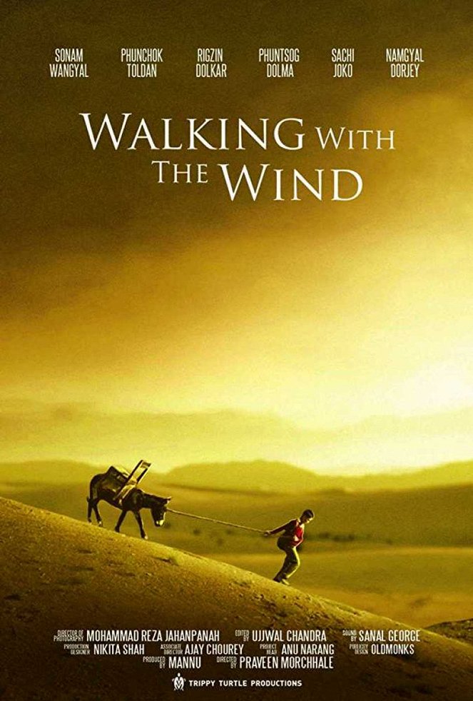 Walking With the Wind - Plakáty