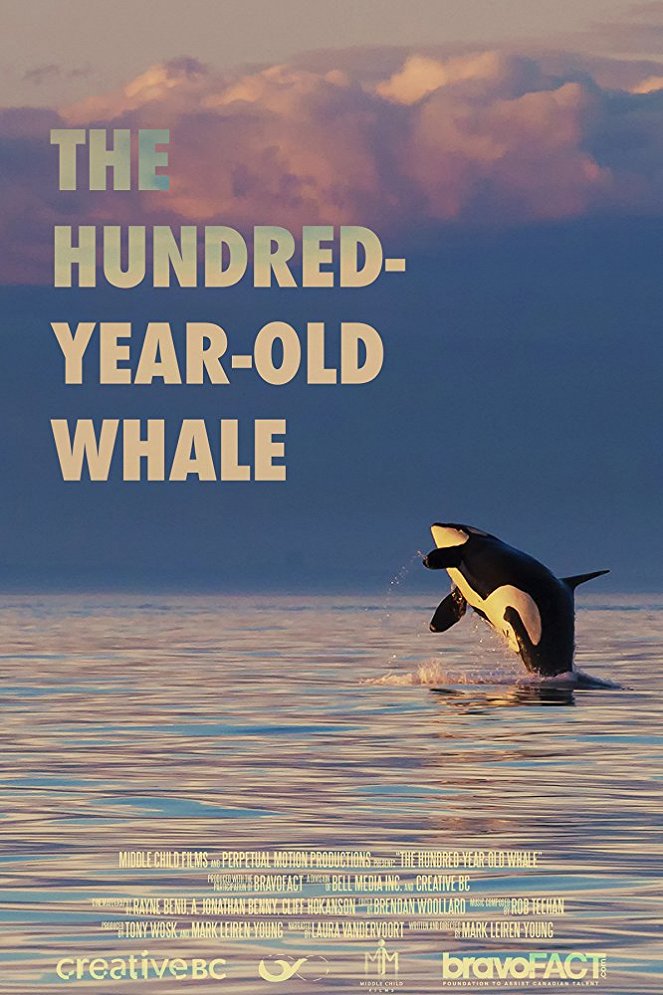 The Hundred-Year-Old Whale - Plagáty