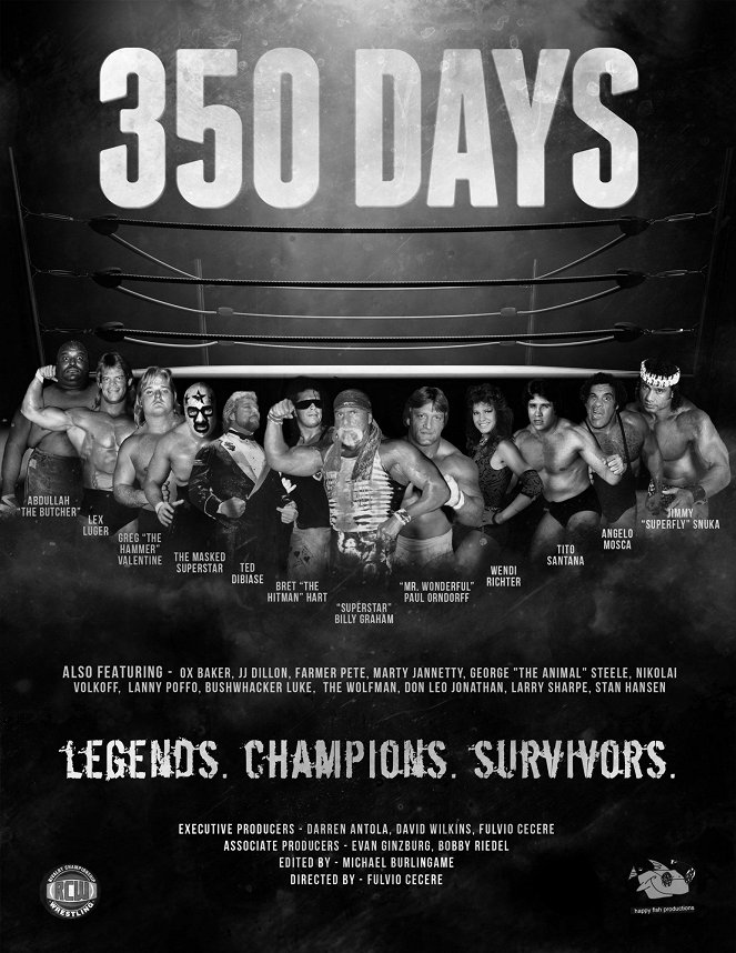 350 Days - Plakáty