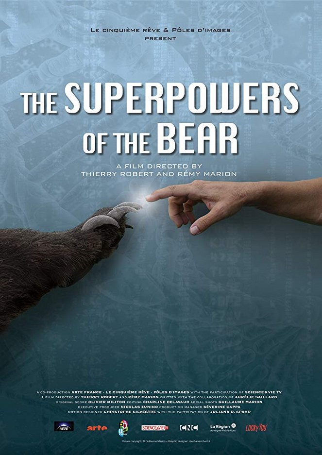 Superschopnosti medvědů - Plakáty
