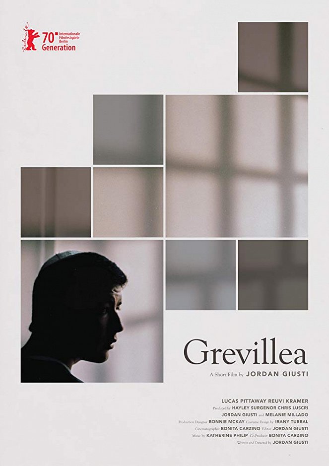 Grevillea - Plakáty