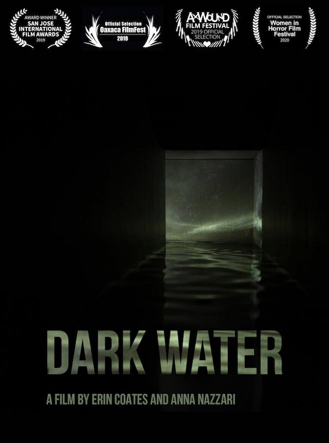 Dark Water - Plakáty