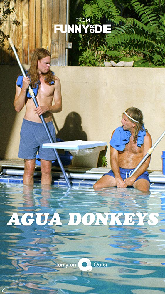 Agua Donkeys - Plakáty