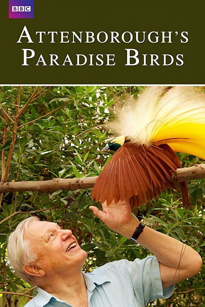 David Attenborough: Rajští ptáci - Plakáty