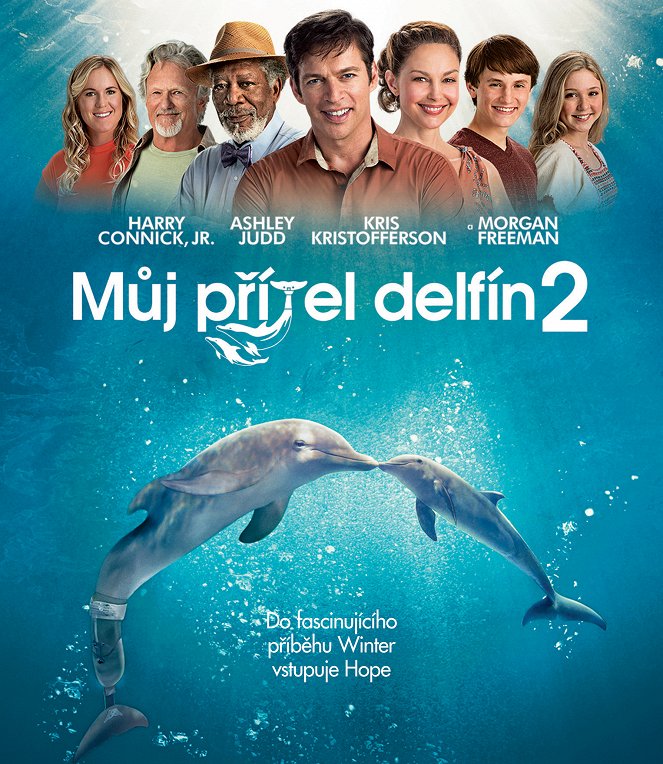Můj přítel delfín 2 - Plakáty