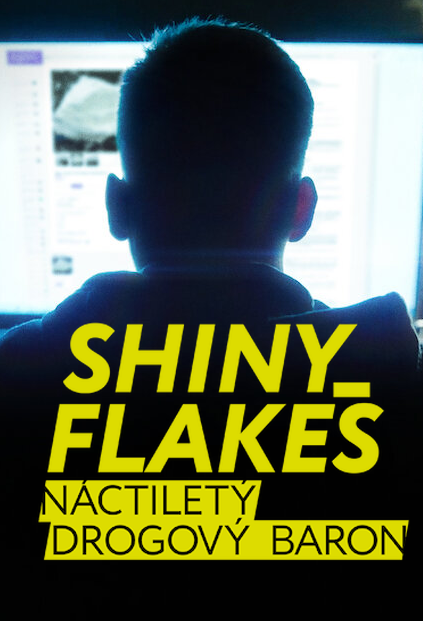 Shiny_Flakes: Náctiletý drogový baron - Plakáty